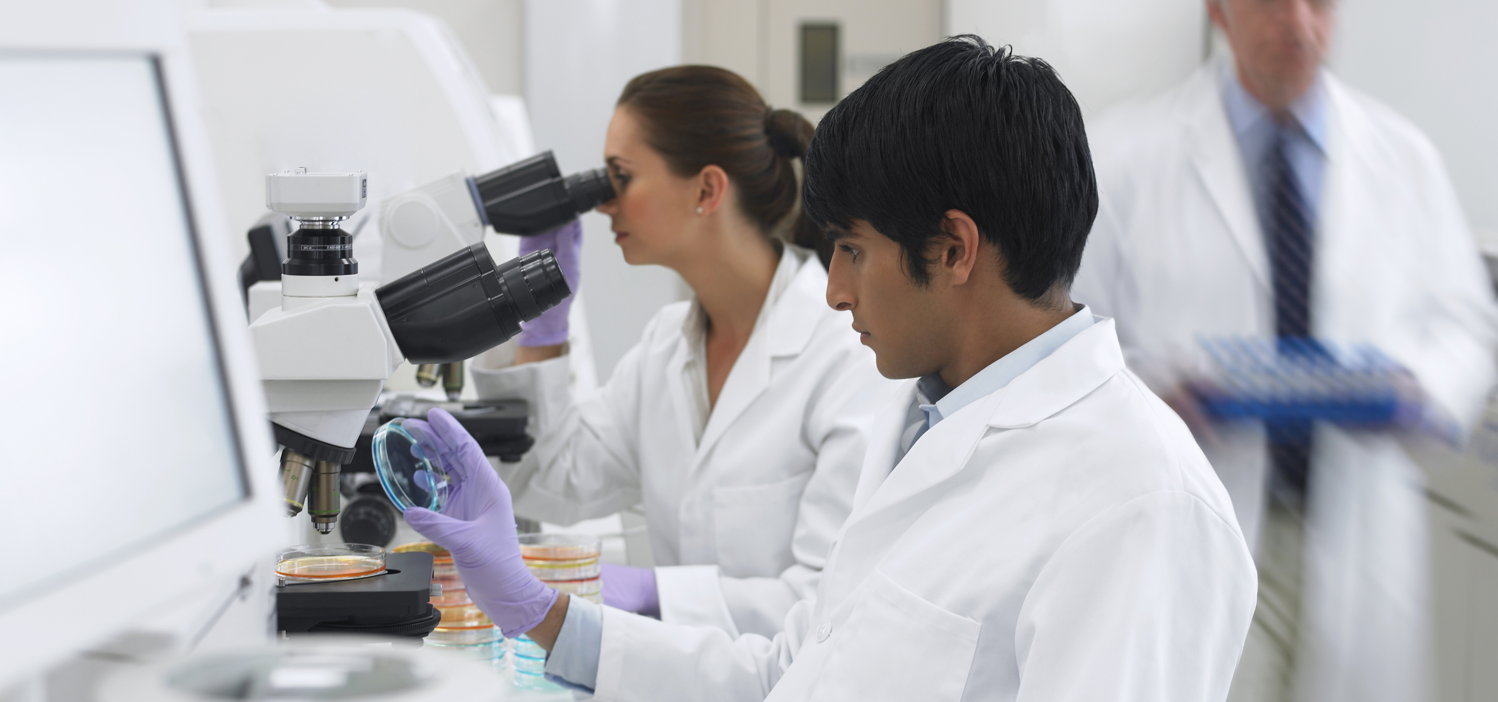 Researchers in a lab-image