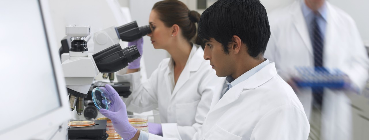 Researchers in a lab-image